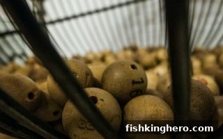 捕鱼王者教你大乐透选号核心技巧：从概率到实操全解析