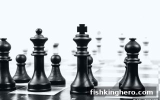 捕鱼王者围棋赛事体系全解析：从入门到职业的完整路径