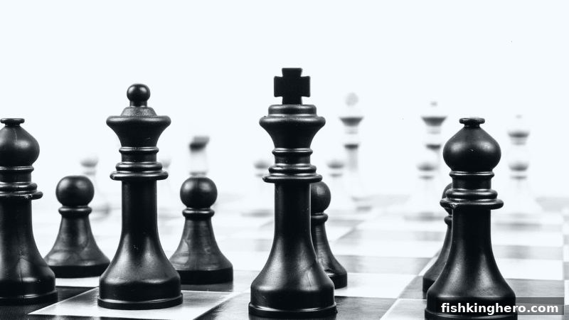 捕鱼王者围棋赛事体系全解析：从入门到职业的完整路径