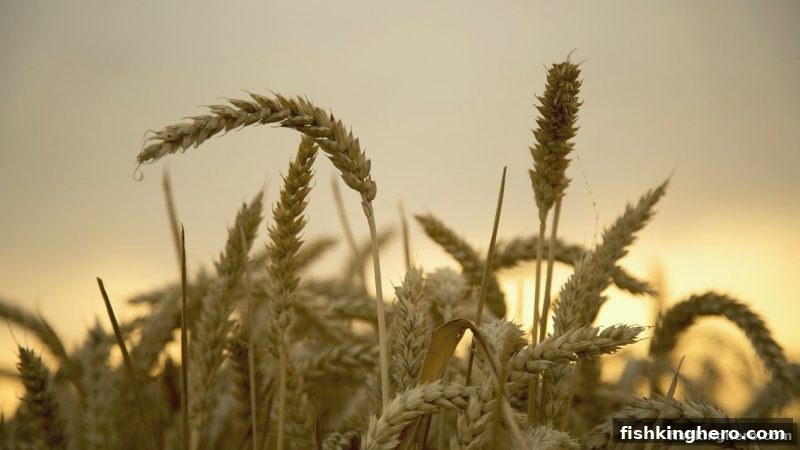 捕鱼王者牛牛玩法首次充值优惠深度解析与实战技巧